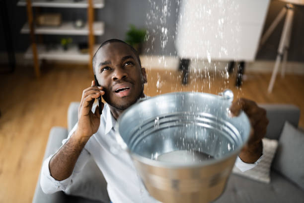Best Ceiling water damage repair  in Mcminnville, TN