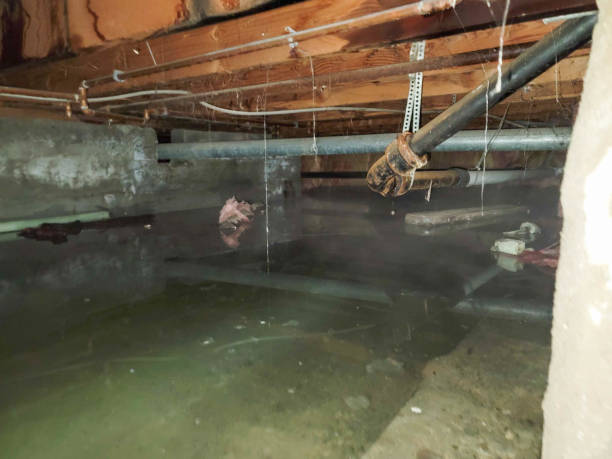 Water damage restoration experts in TN