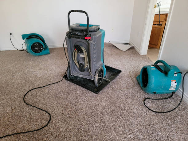 Professional Water damage restoration in TN