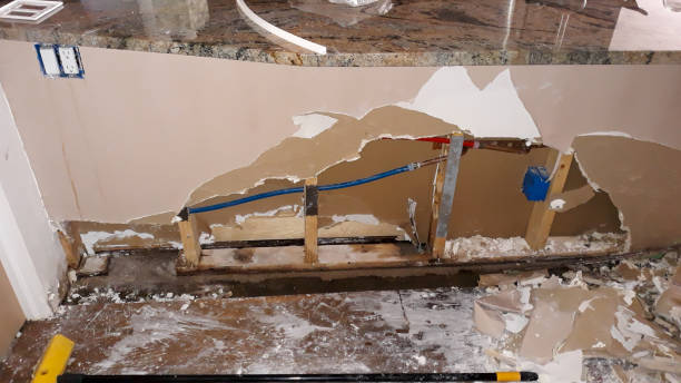 Best Local water damage restoration  in Mcminnville, TN