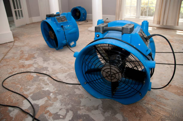 Best Water damage restoration specialists  in Mcminnville, TN