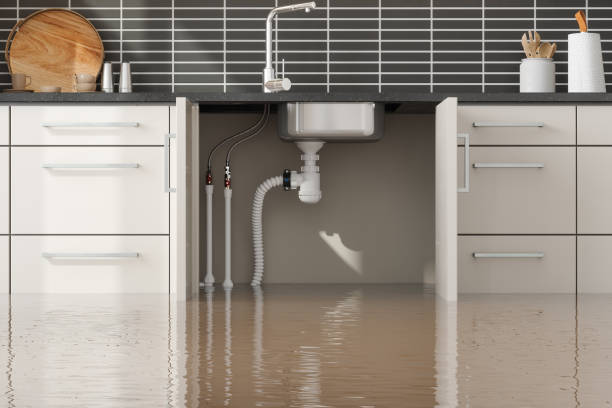 Best Residential water damage restoration  in Mcminnville, TN