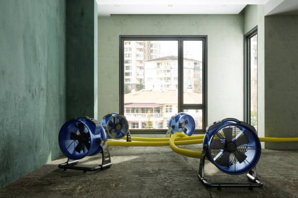 Best Fire Damage Restoration  in Mcminnville, TN