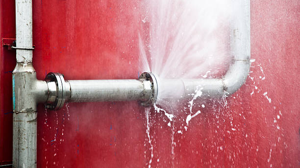 Best Basement water damage restoration  in Mcminnville, TN