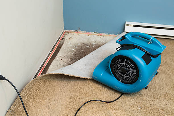 Best Water damage restoration cost  in Mcminnville, TN