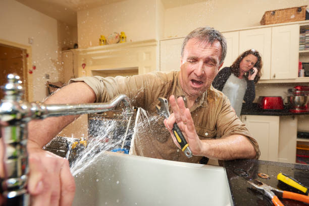 Best Professional water damage repair  in Mcminnville, TN